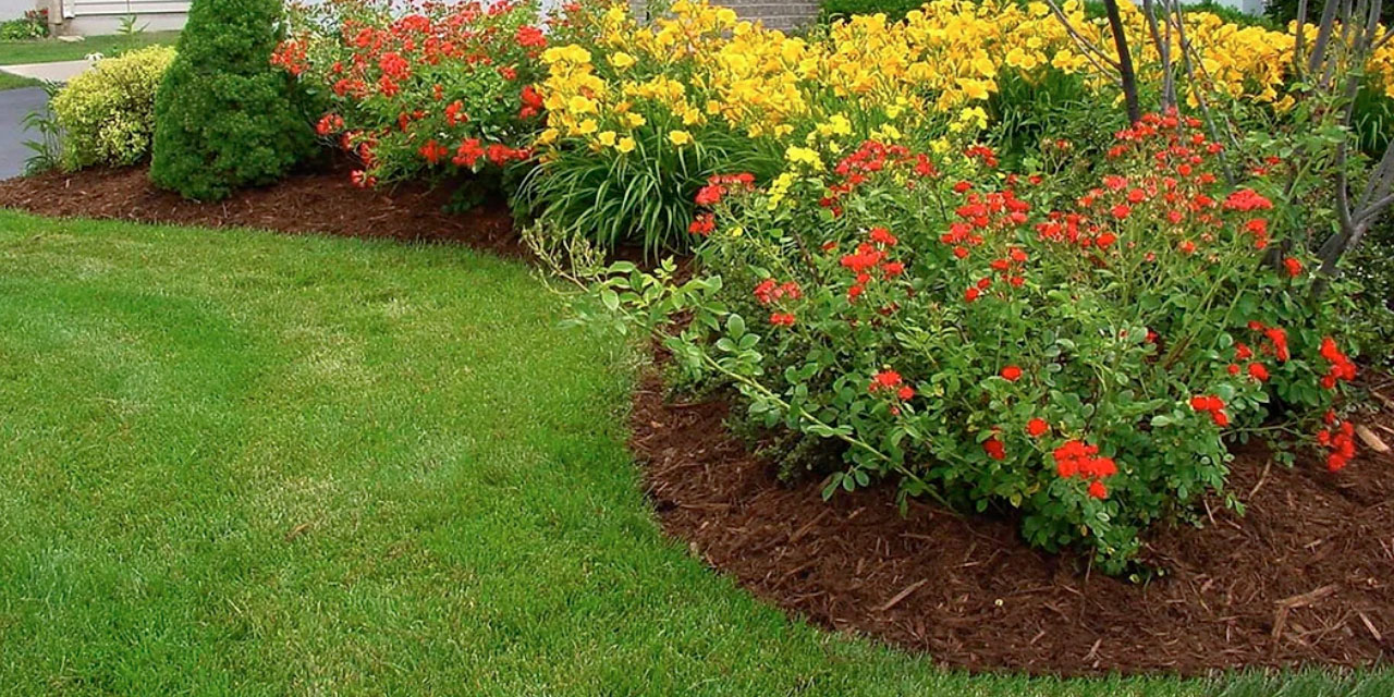  Plumbing Services: mulch