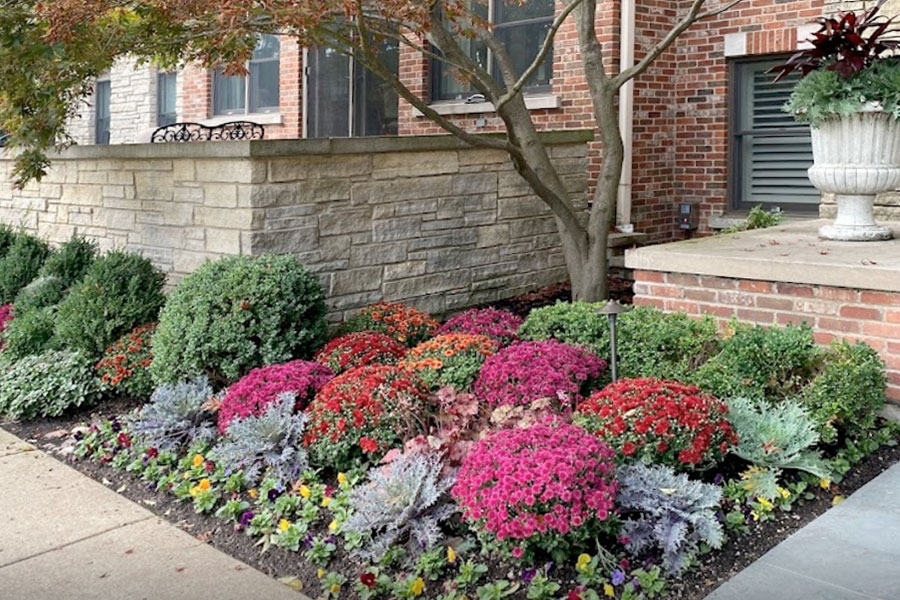 Landscape Installations: Fall Plantings