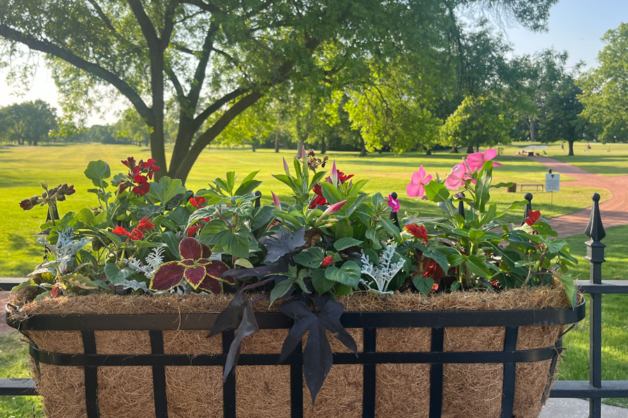 Seasonal Planter and Potted Plants